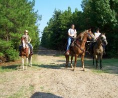 Drake Salt Works Festival